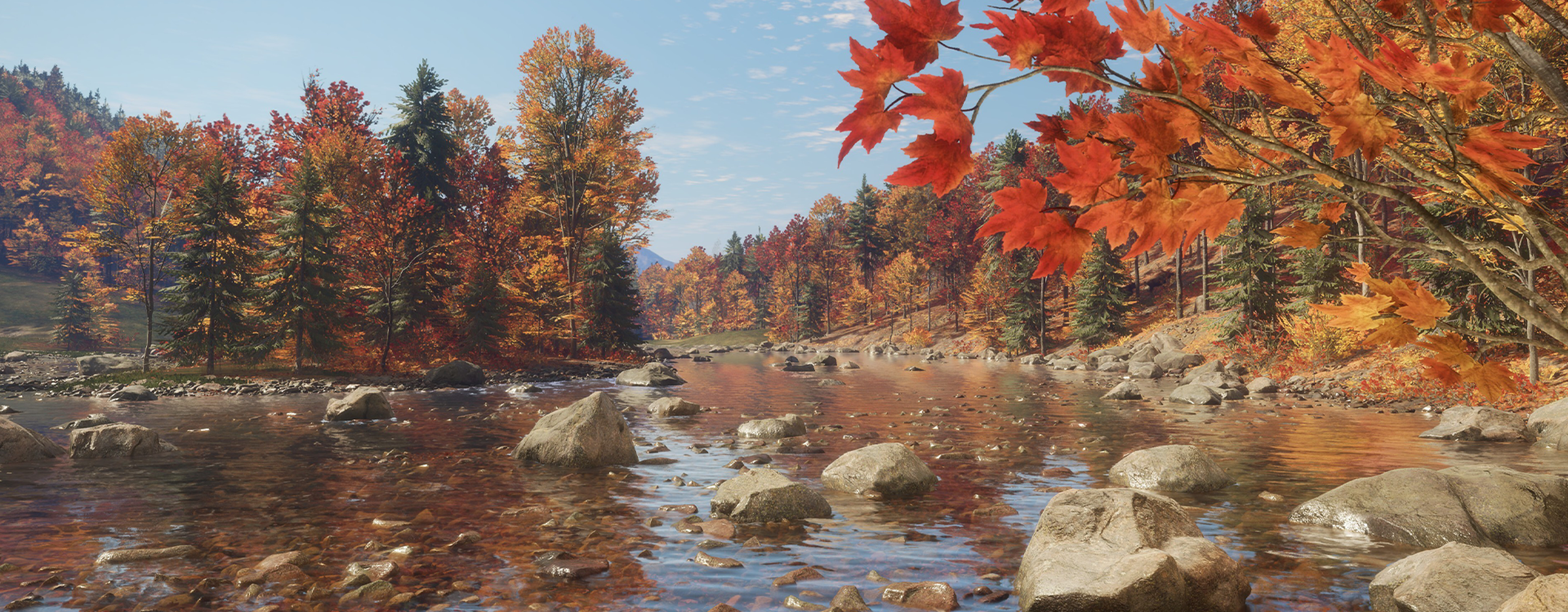 Looking over a shallow rocky riverbed in New England Mountains reserve.