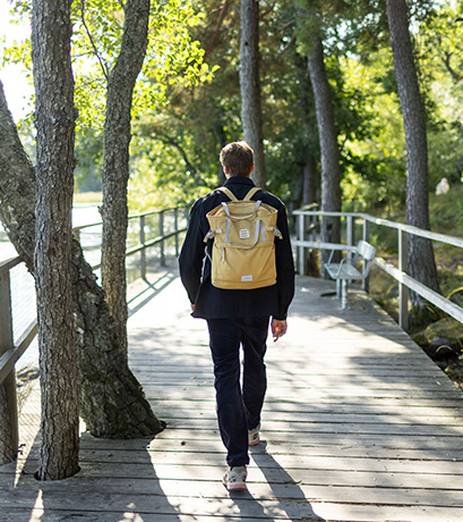 Natursköna miljöer för morgonpromenaden