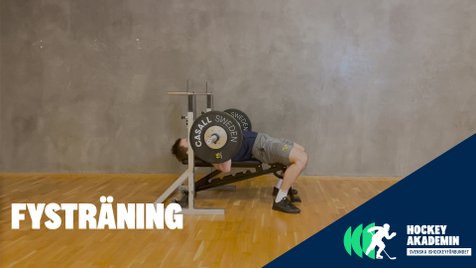Fysövning: Bänkpress