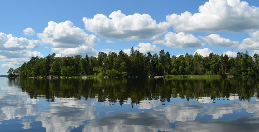 Åsnen Nationalpark som invigts idag är Sveriges 30:e. Foto: Åsnen Nationalpark