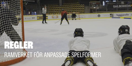 Ramverket för anpassade spelformer