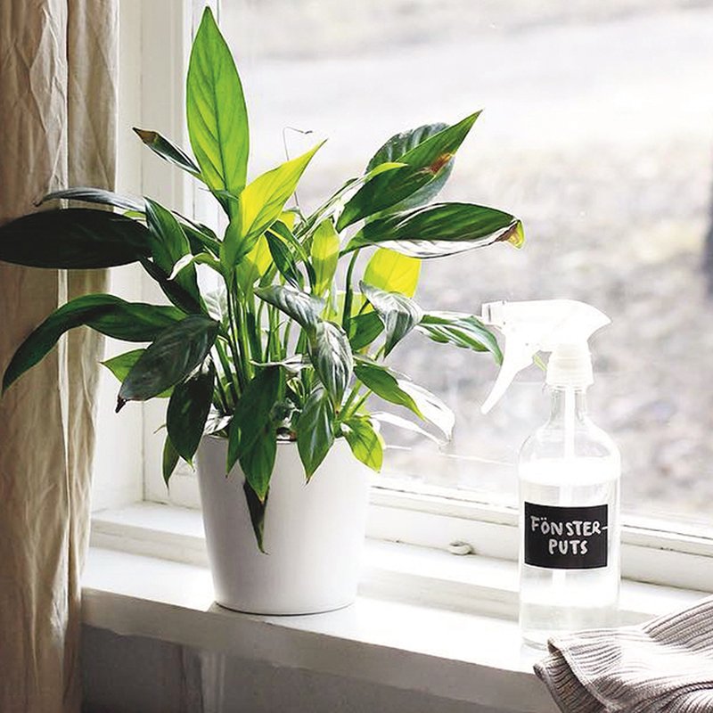 Städa med ättika - recept på rengöringsmedel från Ekotipset