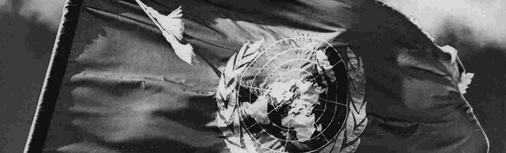 The flag of the United Nations.