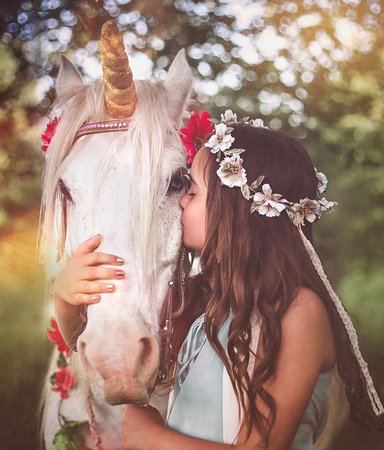 Hoppla! Boktips för de hästtokiga
