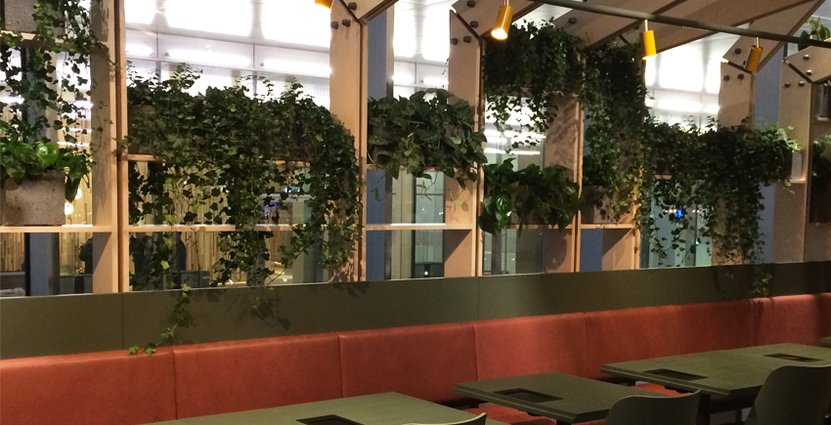 Balans och hälsa präglar nya restaurangen.  