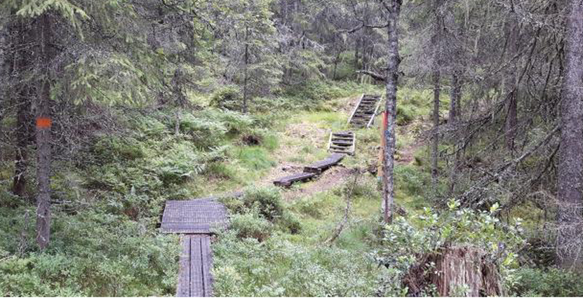 Målet för projektet är bland annat att antalet exportmogna företag ska bli fler. Foto: Visit Värmland