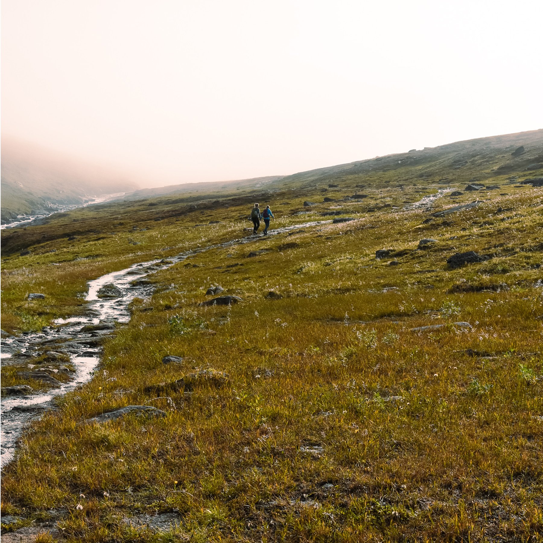 Two women are walking on a muddy path in the fog