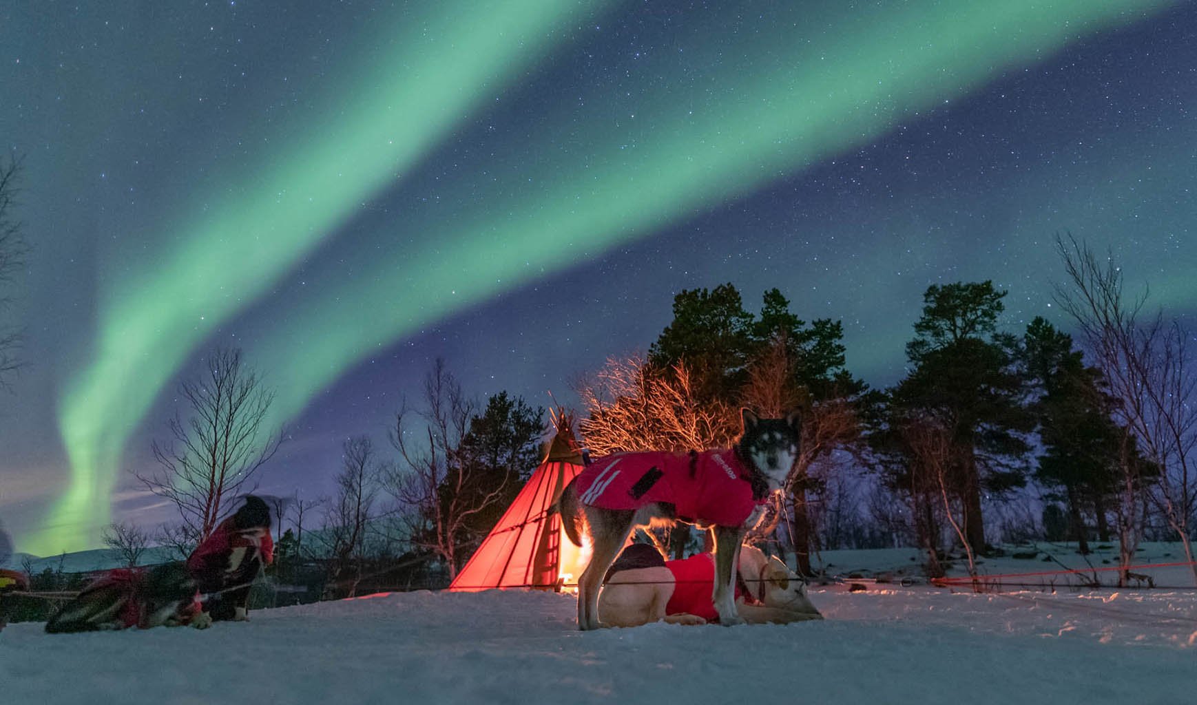 Northern lights photo tour Abisko – with Rosén (5 days) - Kiruna