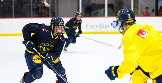 Skridskoåkning mot motstånd