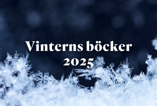 Vinterns böcker 2025