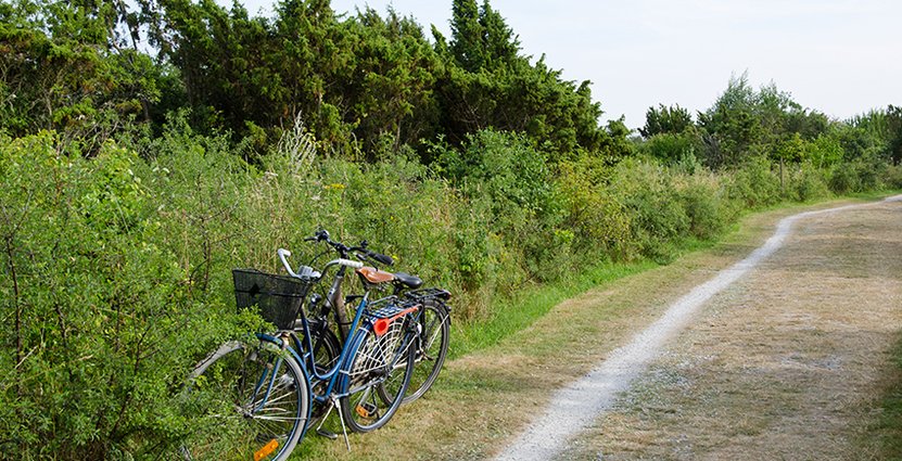 Turism är en viktig ingrediens för en levande svensk landsbygd. 