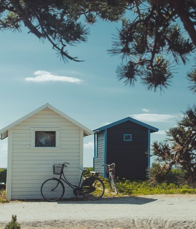 Bland vajande rapsfält och idylliska stugor – 11 böcker som tar oss till Skåne