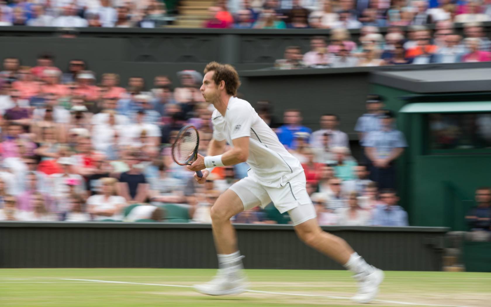 Andy Murray at the Wimbledon Championships in 2015