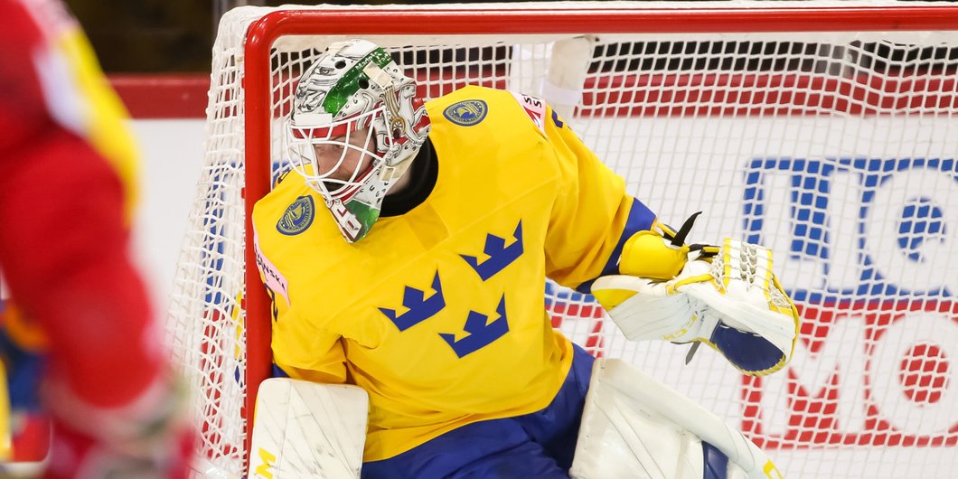 Höft- och ljumskproblem bland elithockeyspelare. Ett samarbete mellan Umeå Universitet och Svenska Ishockeyförbundet