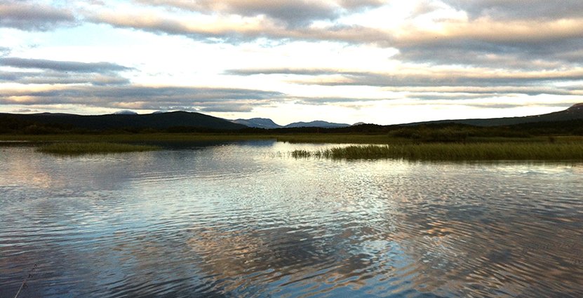 Projektet Lapland - a culinary region, har fått fem miljoner kronor från Jordbruksverket och ska satsa på att bygga en matregion i inlandet. Foto: Colourbox