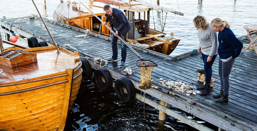 Konferensens syfte är att sätta fokus på framtidens måltidsturism,<br />
 trender, innovationer och inte minst ge inspiration. Foto Visit Sweden