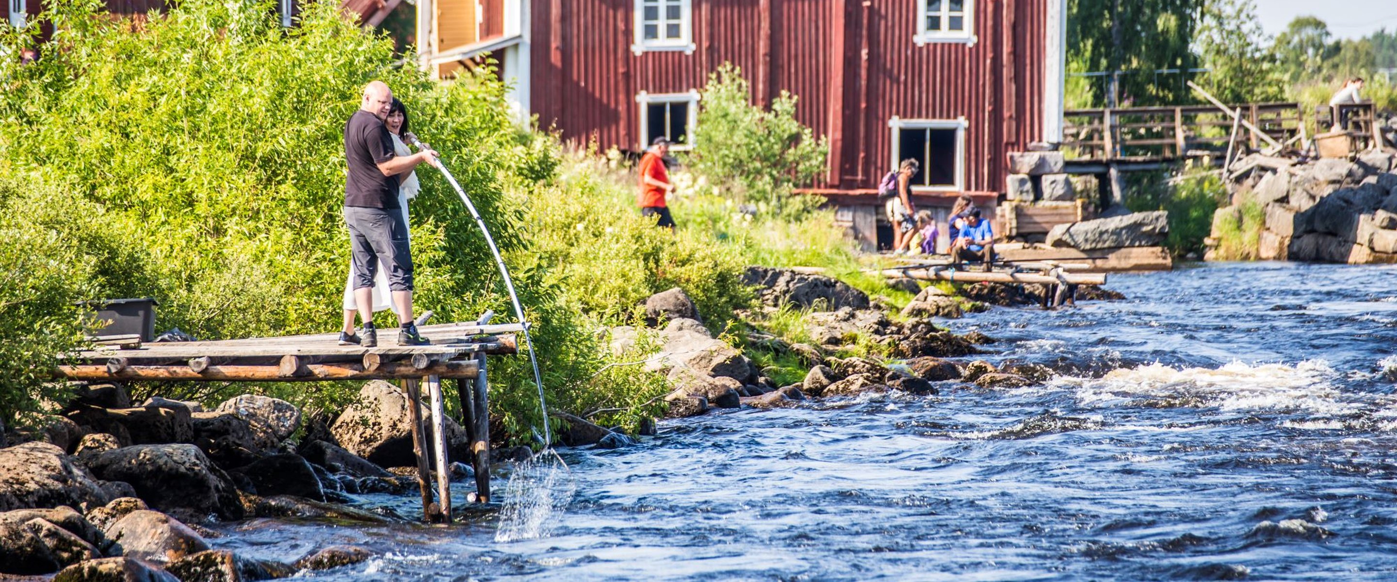 Dip net fishing in Kukkolaforsen