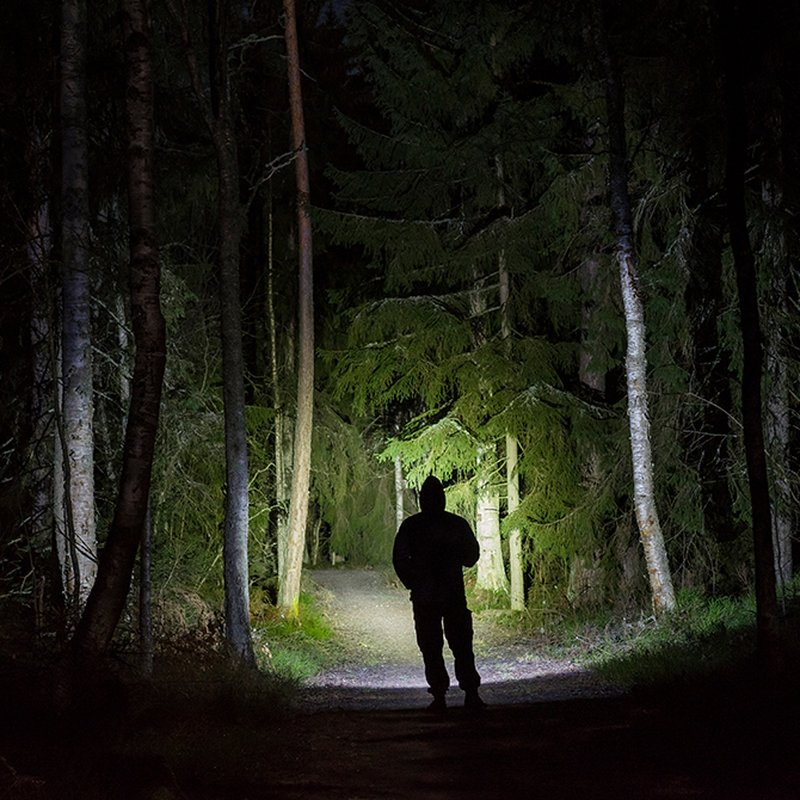 Det svenska deckarundret – 6 boktips av författarna bakom fenomenet