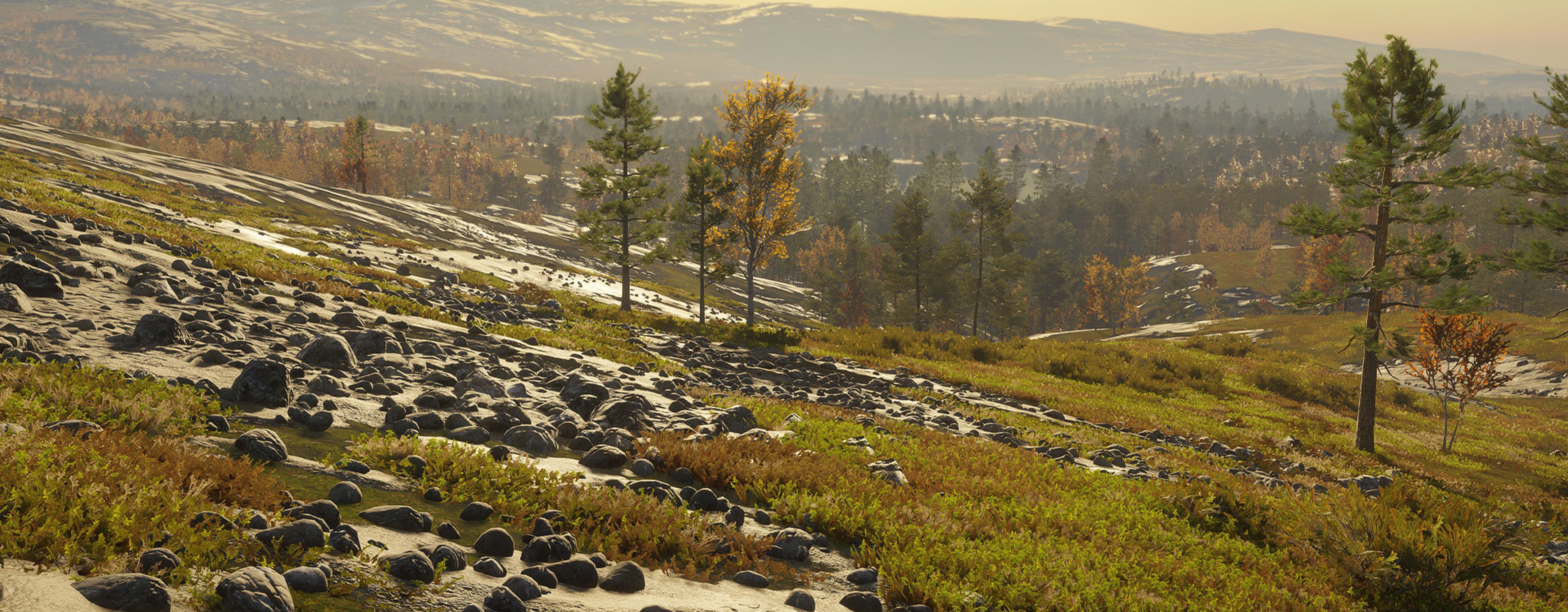 Overlooking the hillside in Finland Reserve, Revontuli Coast.