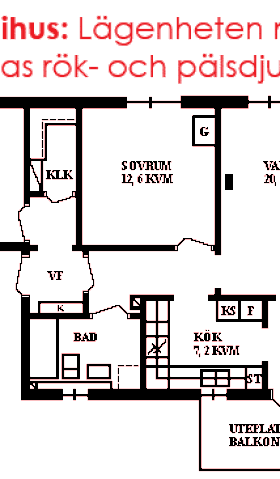 PlanlösningHästskovägen 42