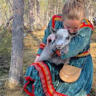 Renkalvsmånaden i maj med Go to Lapland