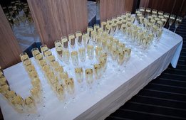 Visitadagen: minglet, bubblet, människorna