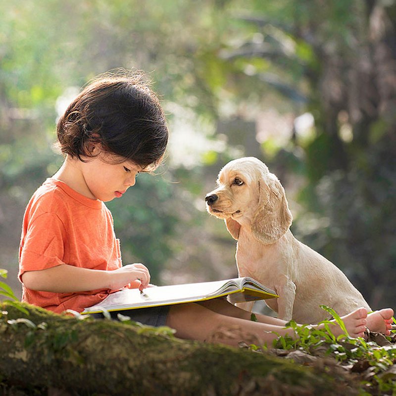 Voff! 13 gulliga barnböcker för alla hundälskare