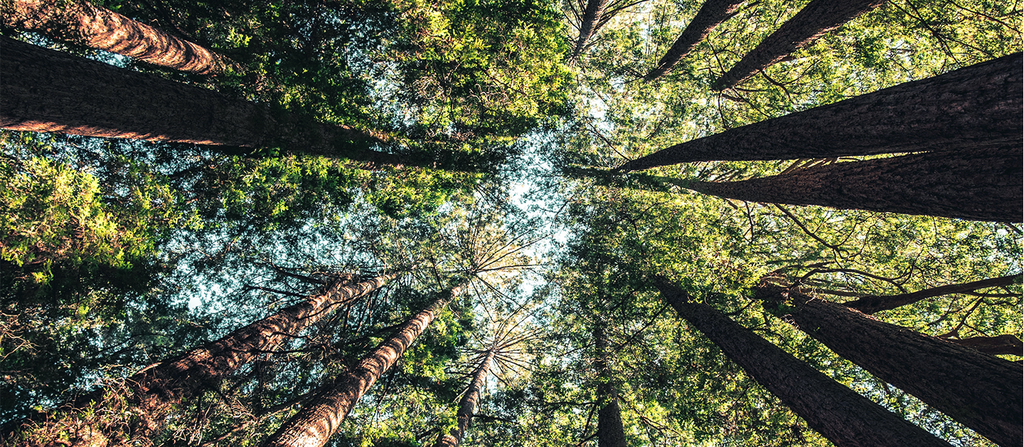Barkarbystaden med närhet till Järvafältets grönområden