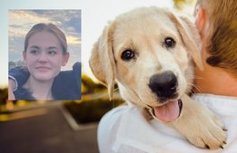 En stjärna i receptionen för både två- och fyrbenta