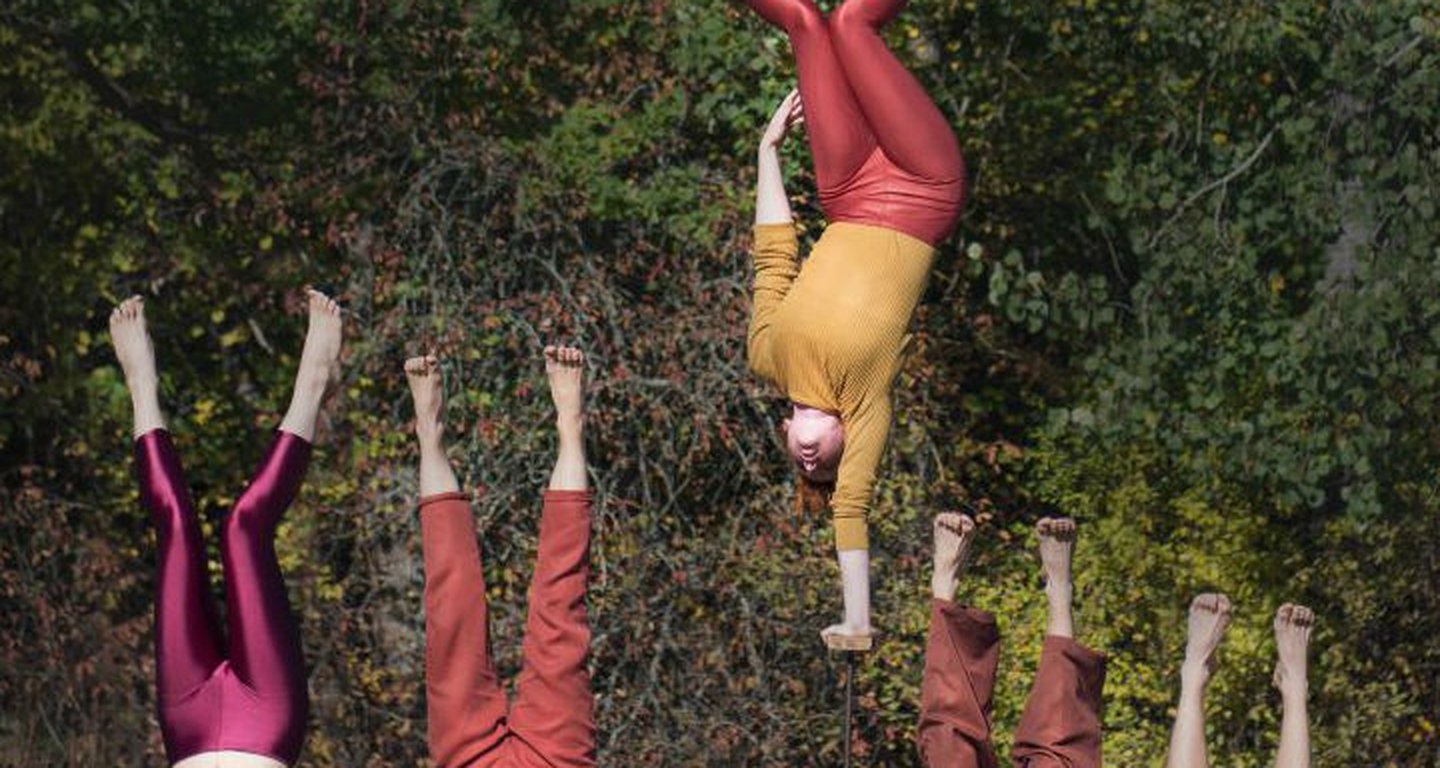 Fauna-Foto-Einar-Kling-Odencrants-Lanseringsbild-salj-720x658