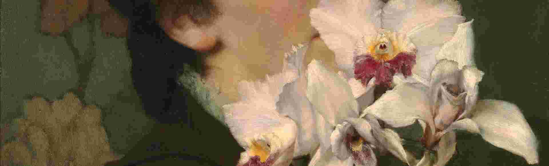 Orchids - Private Collection, USA, Richard Green Gallery, London