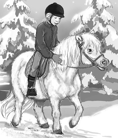 Stora Siggeguiden för alla häst-tokiga läsare