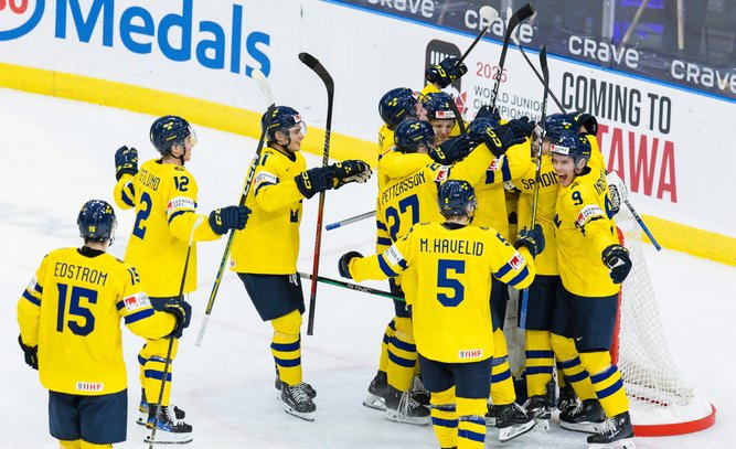 Vad vill du läsa mer om på hockeyakademin?