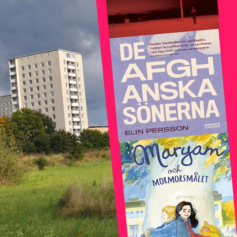 10 drabbande böcker om att komma ny till Sverige