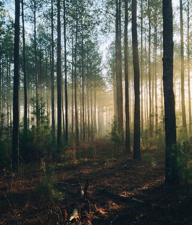 13 romaner med fantastiskt vackra naturskildringar