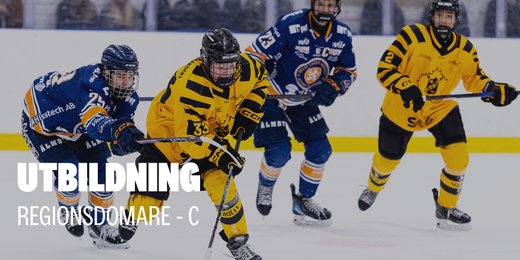 Utbildning - Regionsdomare C