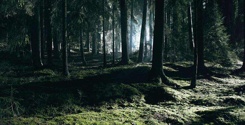 Foto: Johan Wennerström