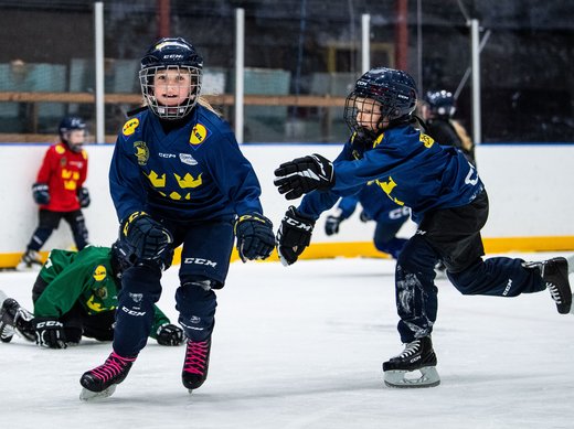 Föreläsning inom NPF