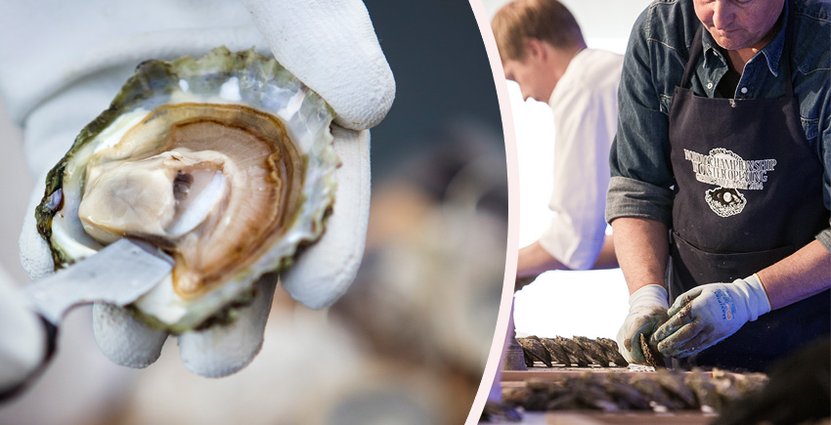 Lars Karlsson har en gedigen tävlingskarriär bakom sig med 11 tävlingsår.  Foto: Pressbild