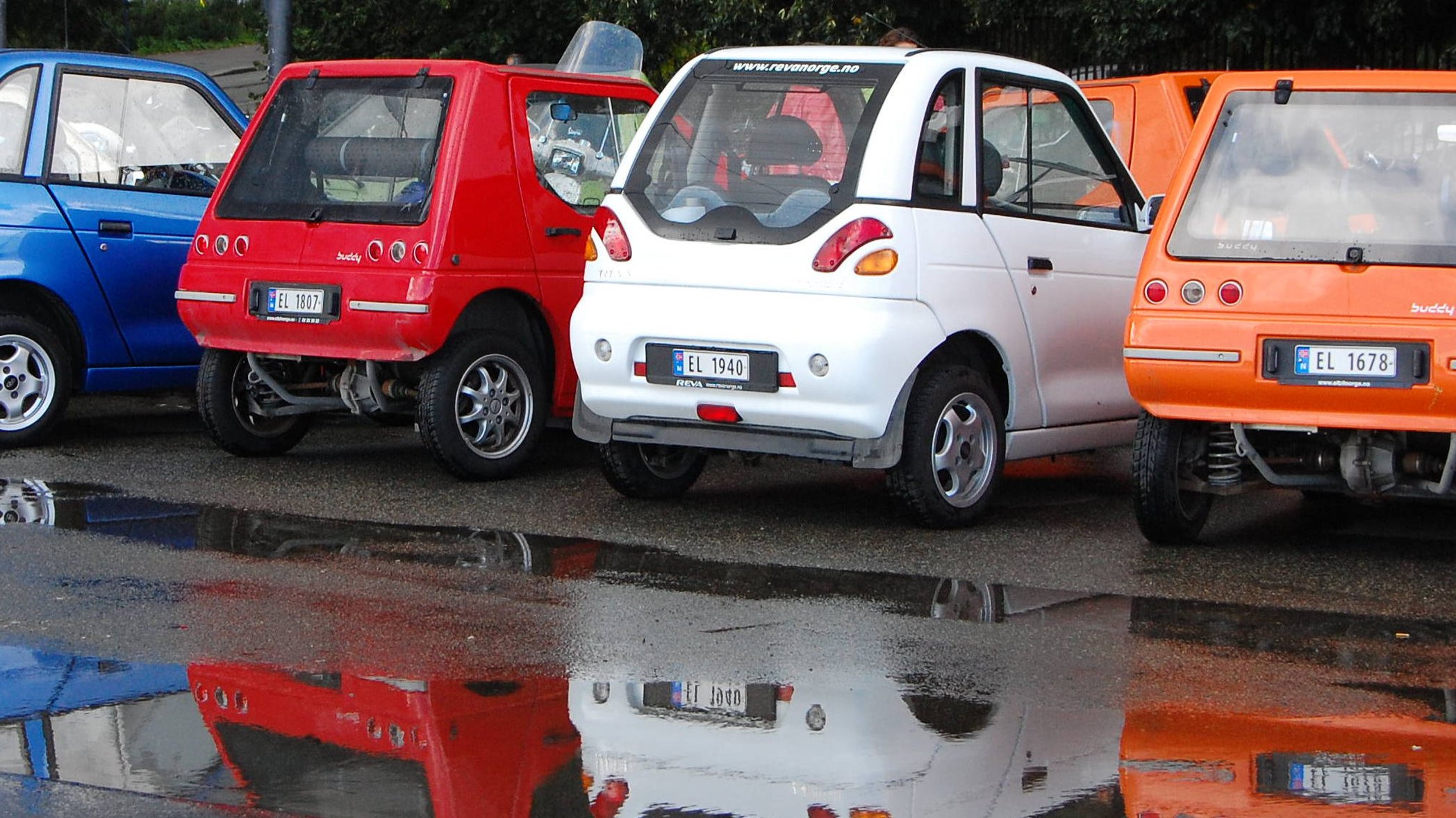 By Fiona Bradley (Flickr User) [CC BY 2.0 (http://creativecommons.org/licenses/by/2.0)], via Wikimedia Commons