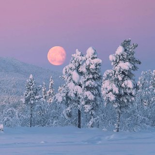 Samiwellness med Scandinavian Photoadventures