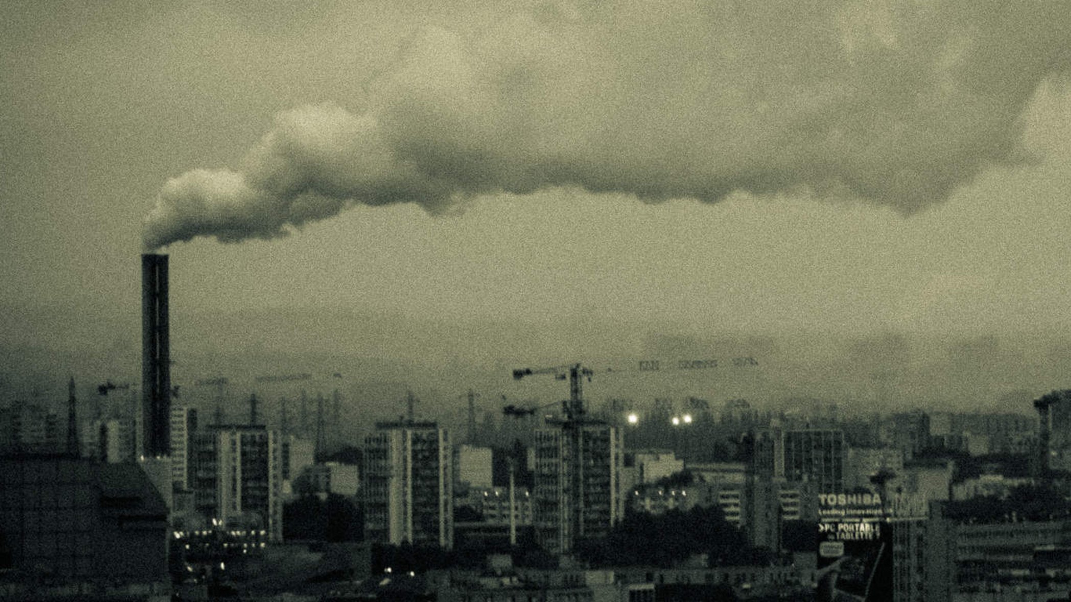 Damián Bakarcic/Flickr (cropped)