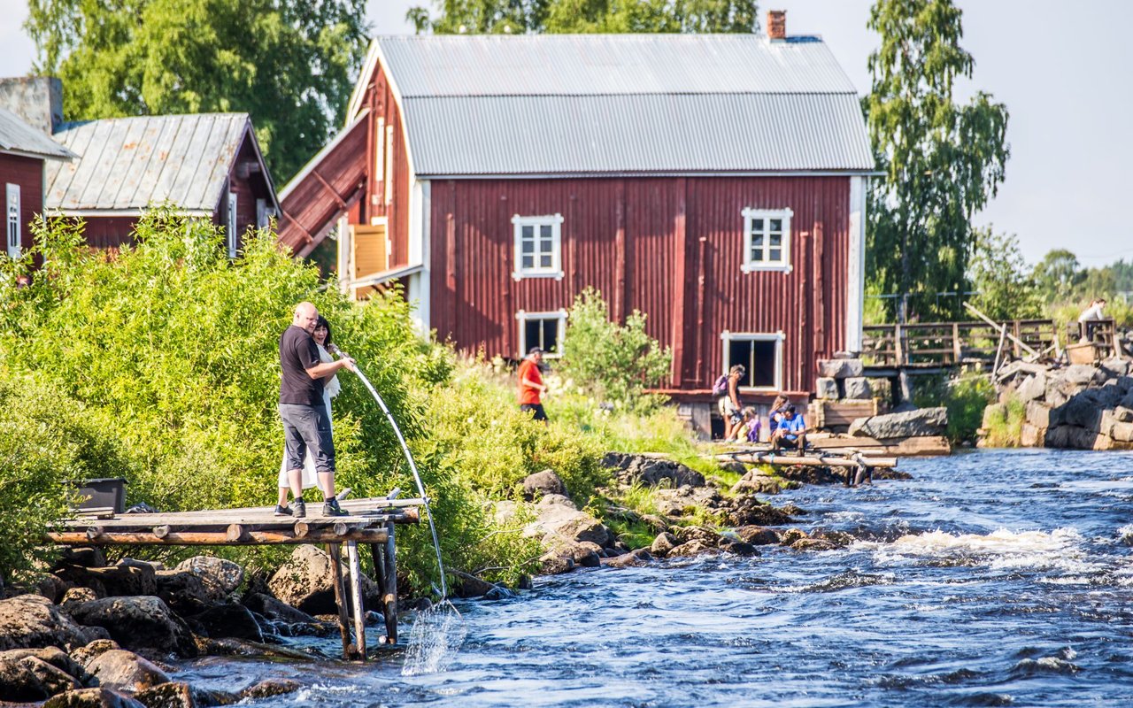 Dip net fishing in Kukkolaforsen