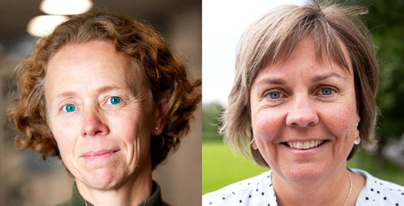 Anna Björklund, professor KTH och Professor Maria Lexhagen på Mittuniversitet.  