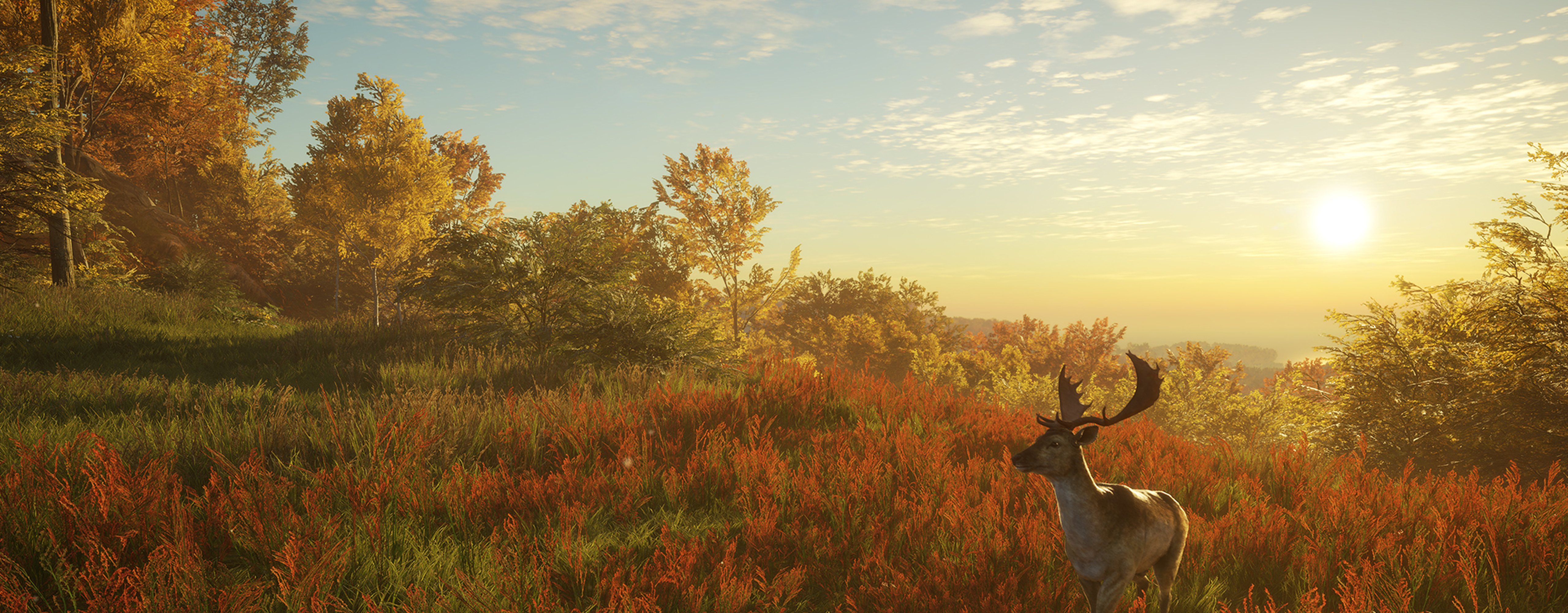An adolescent male red deer walking through a sunset clearing in Hirschfelden Reserve from the game theHunter: Call of the Wild