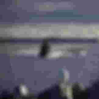 A naval operation staged as part of the Freezing Winds military exercise, led by the Finnish Navy.