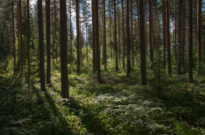 Vår hållbarhetsredovisning är klar!