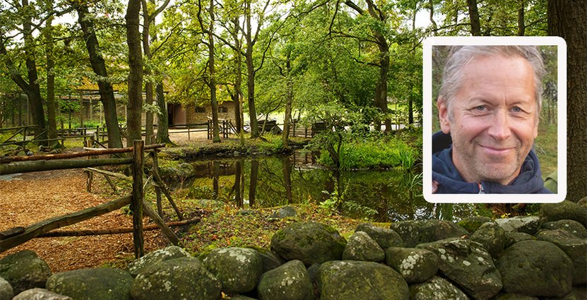 M flaggar för att de fortfarande vill höja momsen på naturguider. Foto: Colourbox