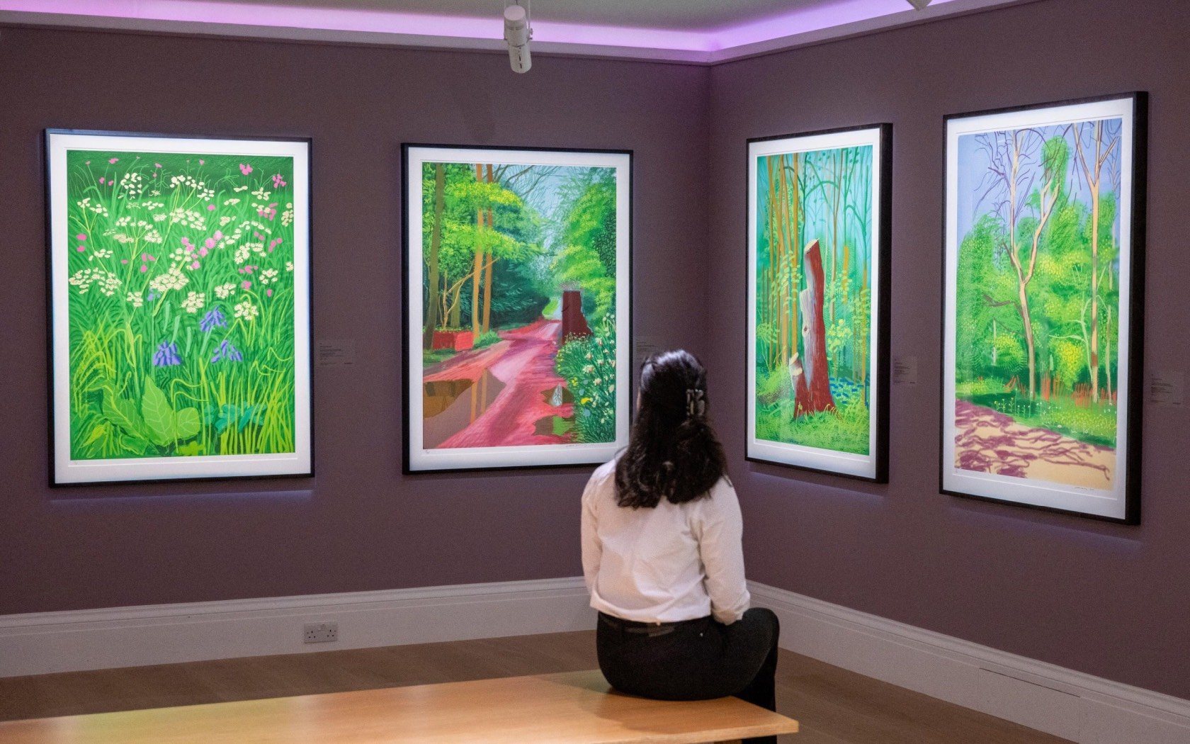 The Arrival of Spring in Woldgate, East Yorkshire in 2011 by David Hockney during a press preview for Sotheby. Credit: ZUMA Press, Inc.