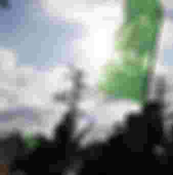 Members of the Hamas Izz al-Din al-Qassam Brigades.